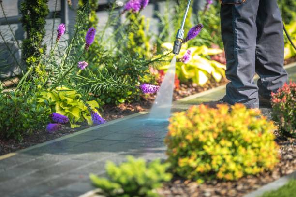 Professional Pressure Washing Services in Warm Mineral Springs, FL